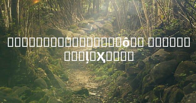 ���������������ʲô�� ���������ļ�Ҳ����